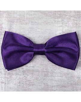 Аренда бабочки фиолетового цвета для мужских костюмов, изображение 1